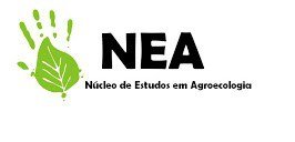 Projeto é desenvolvido por um grupo de professores do NEA - Câmpus Ipanguaçu