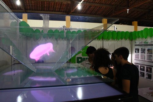 Salas da Expotec reuniu produção dos alunos do Campus Caicó; foto: Rommel