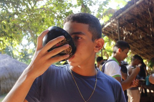 Na Gamboa, visitantes vão ver manguezal, árvores nativas, aves e conhecer a história de um lugar de resistência indígena