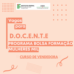 Docente vagas mulheres mil 2024