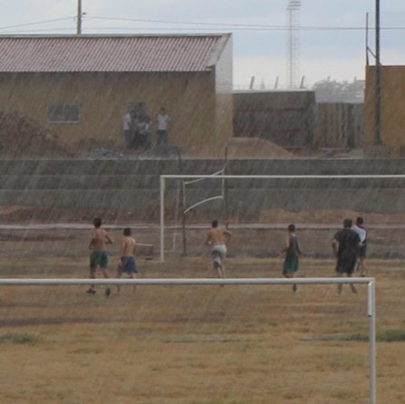 #10231 A cidade e o desejo molhado