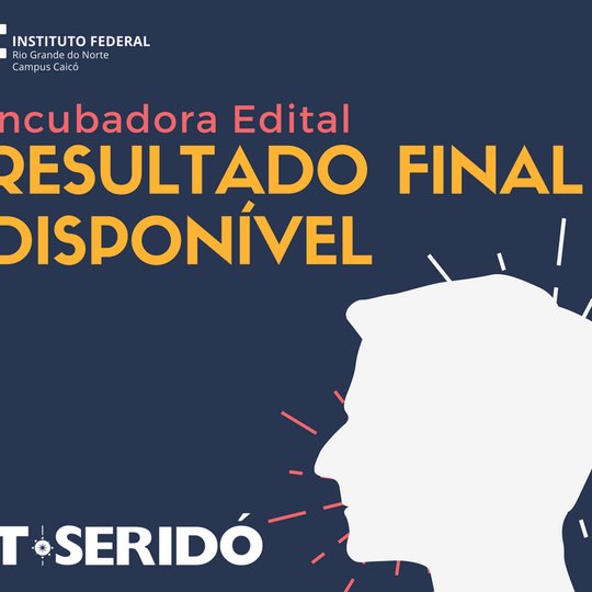 #10314 Seleção de Ideias Empreendedora - Resultado Final
