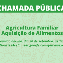 #10875 Reunião on-line orienta agricultores familiares à adesão de chamadas públicas