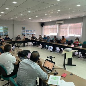 #11133 Processo de atualização dos regimentos institucionais segue em trâmite