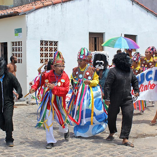 #11628 Campus apoia carnaval tradicional em SGA