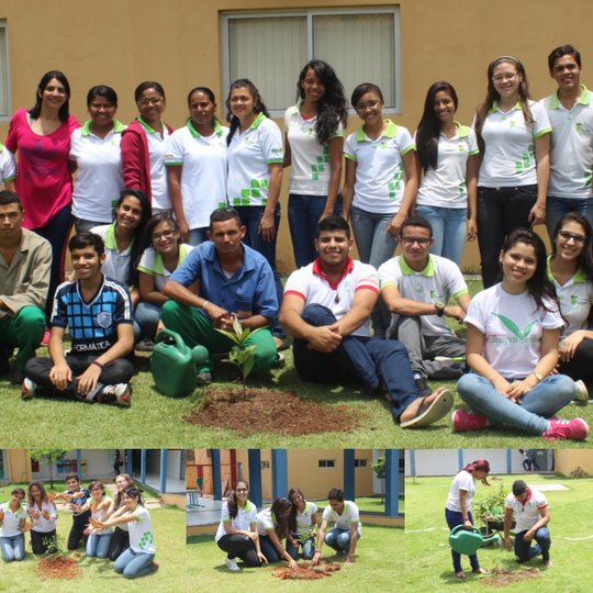 #11935 Alunos comemoram Dia da Árvore