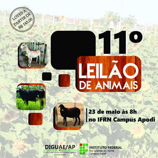 11º LEILÃO