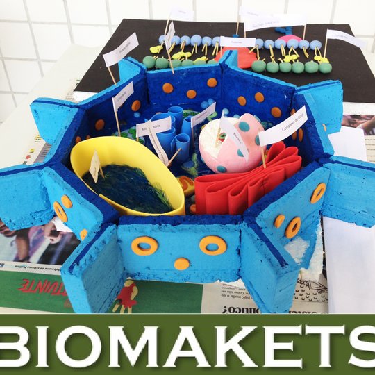 #13778 Exposição BIOMAKETS acontece nesta quinta-feira (27)