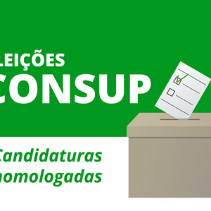 #14024 Eleições complementares têm candidaturas homologadas 
