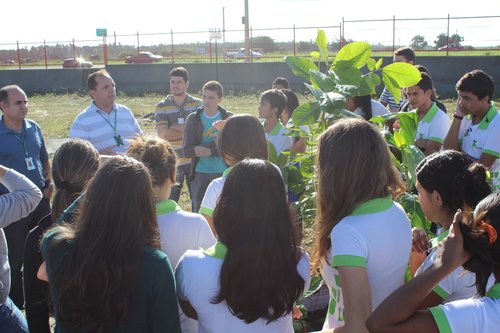 Durante plantio de mudas, diretor-geral convida alunos ao engajamento nas causas ambientais.