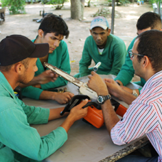 #17338 Equipe da área verde do CNAT participa de capacitações