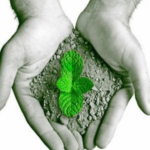 #17520 Pesquisa do NESA (DIAREN) é premiada no Congresso Nacional de Meio Ambiente