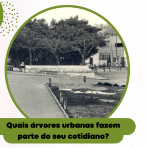 #18119 NEPPSA realiza pesquisa sobre árvores urbanas