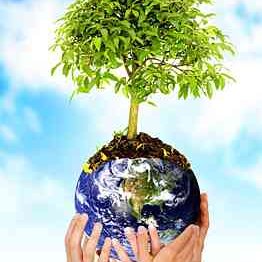 #19012 Turmas do Técnico Integrado em Geologia e Controle Ambiental preparam programação para o Dia Mundial do Meio Ambiente