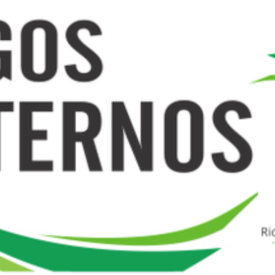 #19029 Desfile de abertura dos Jogos Internos acontece hoje (15)