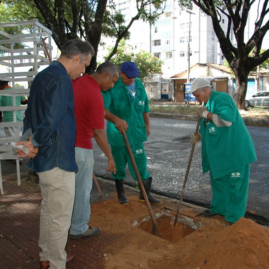 #19191 CNAT inicia projeto que irá plantar novas árvores na parte externa do Campus 