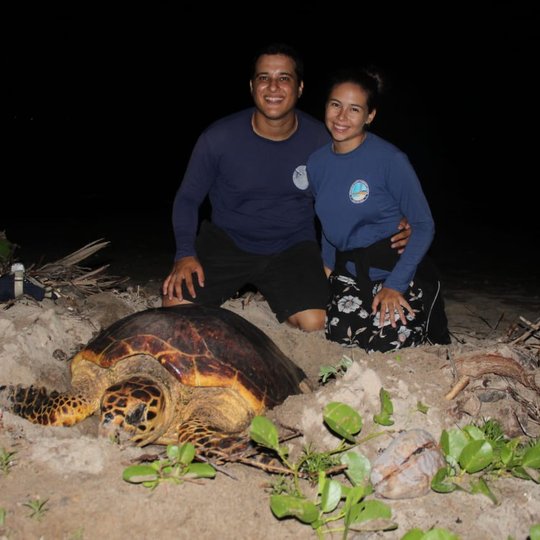 #19290 Projeto "Tartarugas ao Mar" é tema de abertura da Semana do Meio Ambiente 