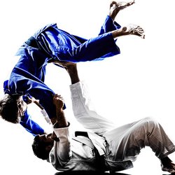 #19332 CNAT realiza levantamento para disponibilizar aulas de jiu-jitsu