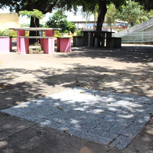 #19730 Gestão 100: ações e projetos dão novas cores e formas aos espaços do CNAT