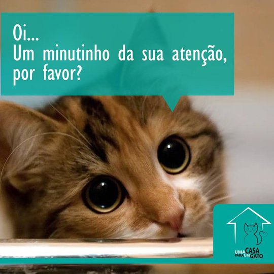 #19957 Projeto de extensão promove palestra sobre posse responsável de animais
