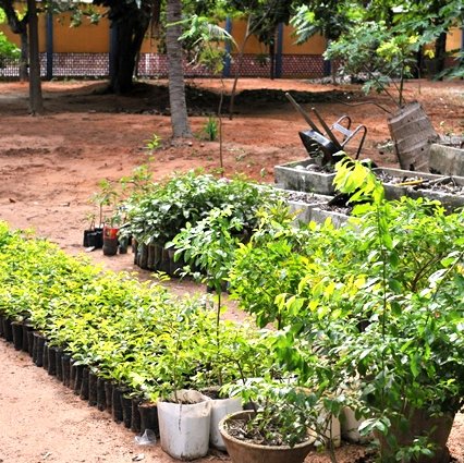 #20568 CNAT desenvolve ações de sustentabilidade ambiental