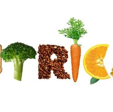 #21208 Direção Geral abre vagas para estágio em Nutrição