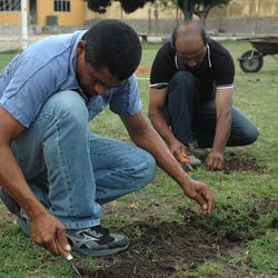 #21867 Campus realiza capacitação relativa à jardinagem