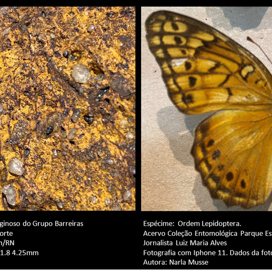 #21924 Museu de Minérios do RN promove exposição virtual "Similaridades", a partir desta segunda-feira, 22/11