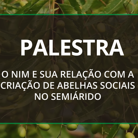 #22799 Campus Apodi promove palestra sobre a relação do Nim com a criação de abelhas sociais no Semiárido