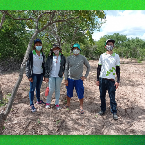 #22928 Projeto de cultivo de acerola contribui para desenvolvimento social, cultural e econômico em Apodi