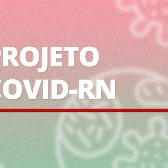 #23116 Projeto facilita acesso a dados da pandemia no RN