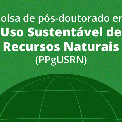 #23212 IFRN seleciona pesquisadores para atuação em Centros de Tecnologia