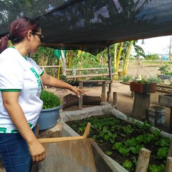 #24177 Com equipe engajada, Fazenda-Escola do IFRN é destaque em Ipanguaçu