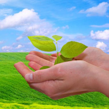 #24200 Seleção de alunos e professores para projeto de ações ambientais