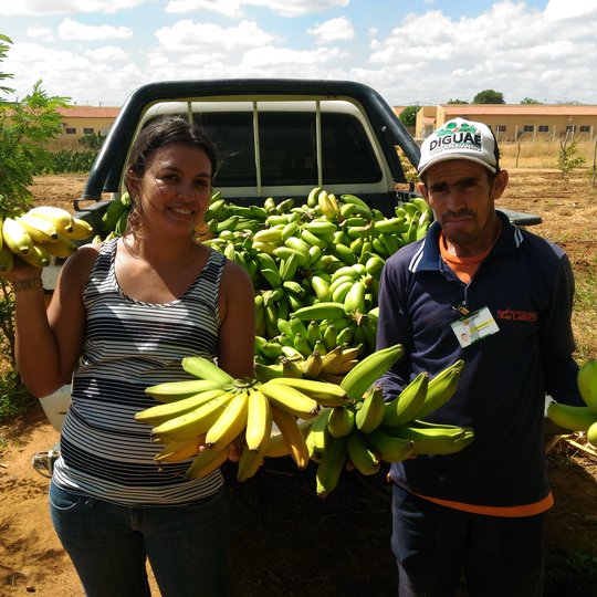 #24230 Produção da Fazenda-Escola alimenta campi do IFRN