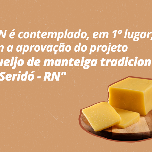 #24284 Projeto do IFRN é 1º lugar em chamada pública do MEC