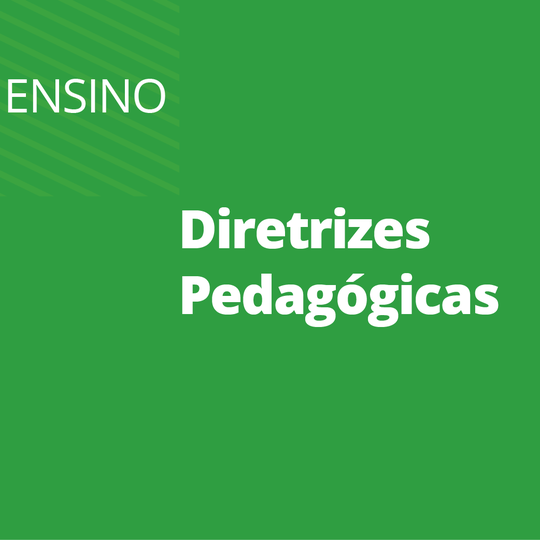 #24308 Publicada resolução com atualização de diretrizes pedagógicas