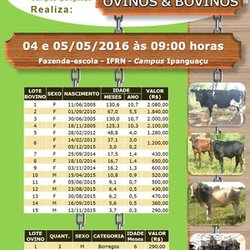 #24667 Campus Ipanguaçu realiza 9º leilão de ovinos e bovinos