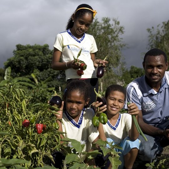 #24991 Inscrições abertas para curso a distância sobre compras da agricultura familiar