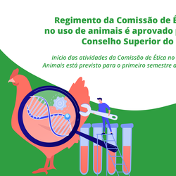 #25273 Regimento da Comissão de Ética no uso de animais é aprovado pelo Conselho Superior do IFRN