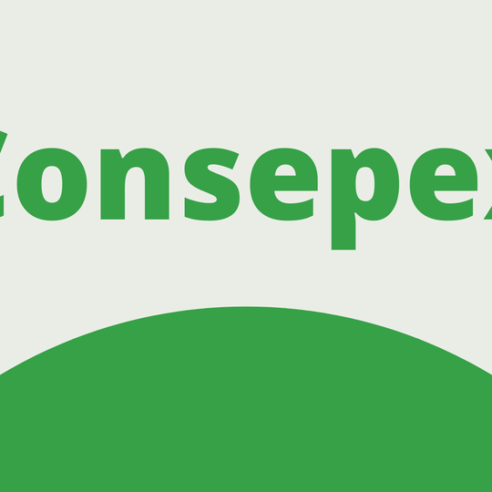 #25467 Consepex se reúne para revisar Diretrizes Pedagógicas para 2021