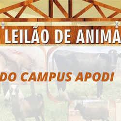 #26066 Campus Apodi realiza novo leilão de animais