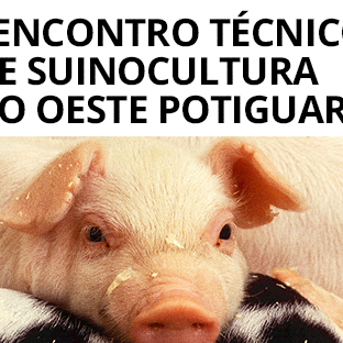 #26297 IFRN sedia I Encontro Técnico de Suinocultura do Oeste Potiguar