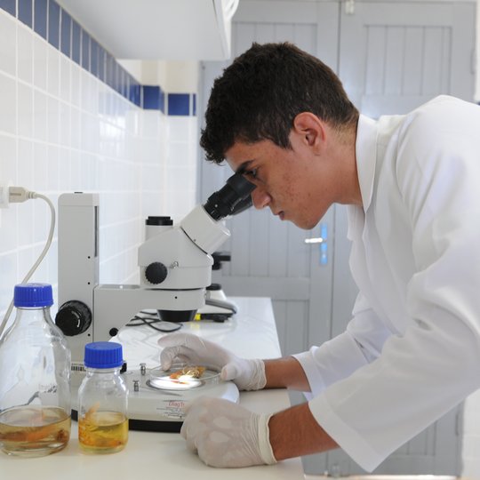 #26531 Campus Macau oferta 18 vagas para o curso de Licenciatura em Biologia