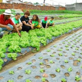 #26994 Com orçamento de 1,3 milhão de reais, IFRN abre chamadas públicas para agricultura familiar