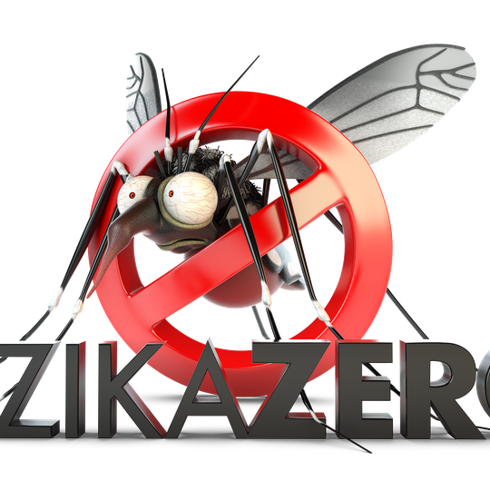 #27713 Sexta-feira (19) é Dia Nacional de Mobilização da Educação contra o Zika 