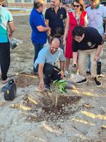 Primeiro  momento - realizando o plantio do baobá