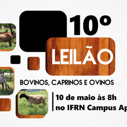 #28551 Campus Apodi realiza 10º Leilão de Animais