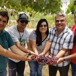 #29970 Uvas no semiárido: uma cultura promissora para o RN