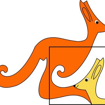 #30365 Prova do Canguru da Matemática acontece amanhã (17)